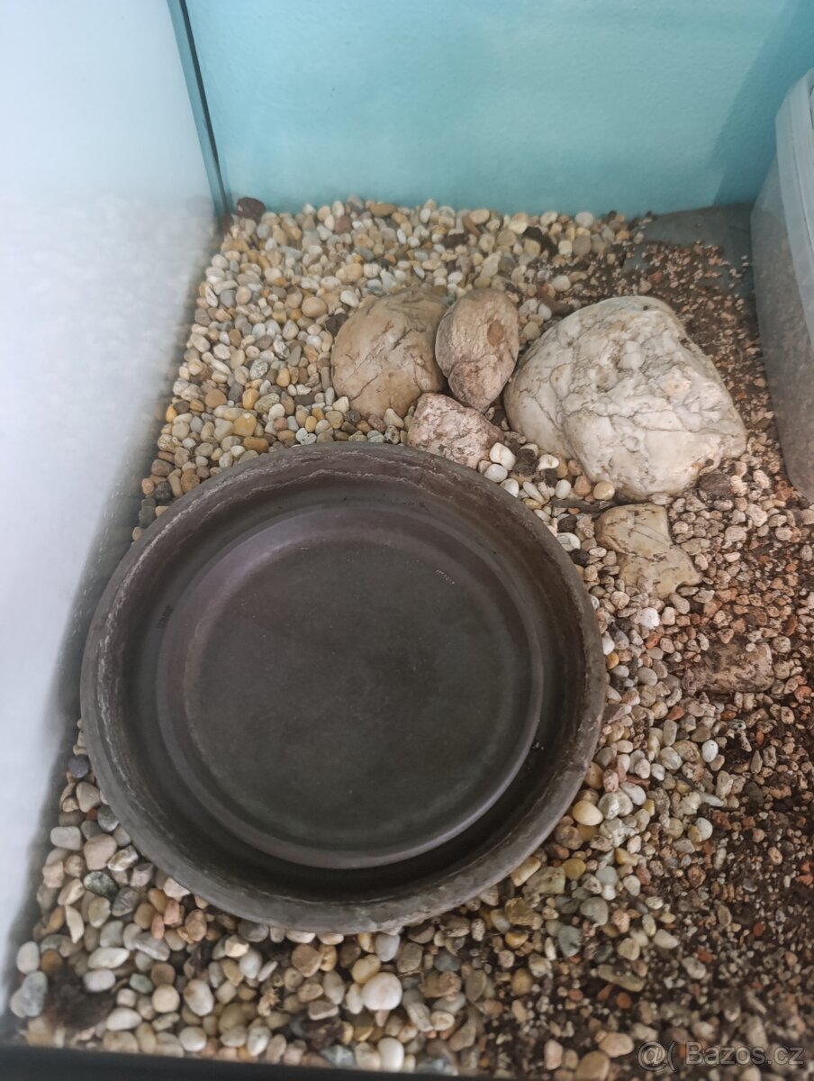 Terarium 804040 - 4