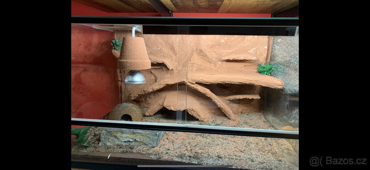 Terárium 60x40x30 s 3D stěnou - 4