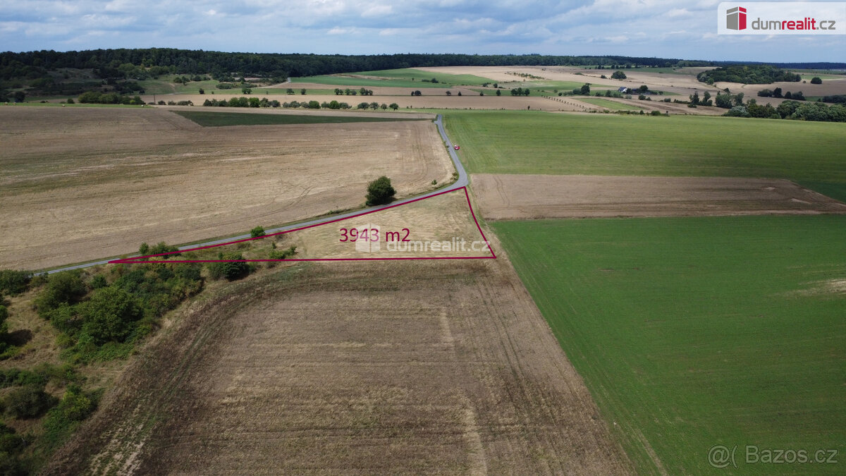 Prodej pozemku 3943 m2, Sýkořice - 4