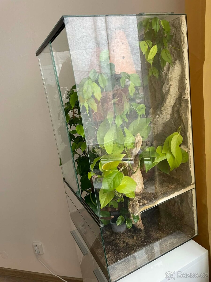 Terárium pro chameleona - 4