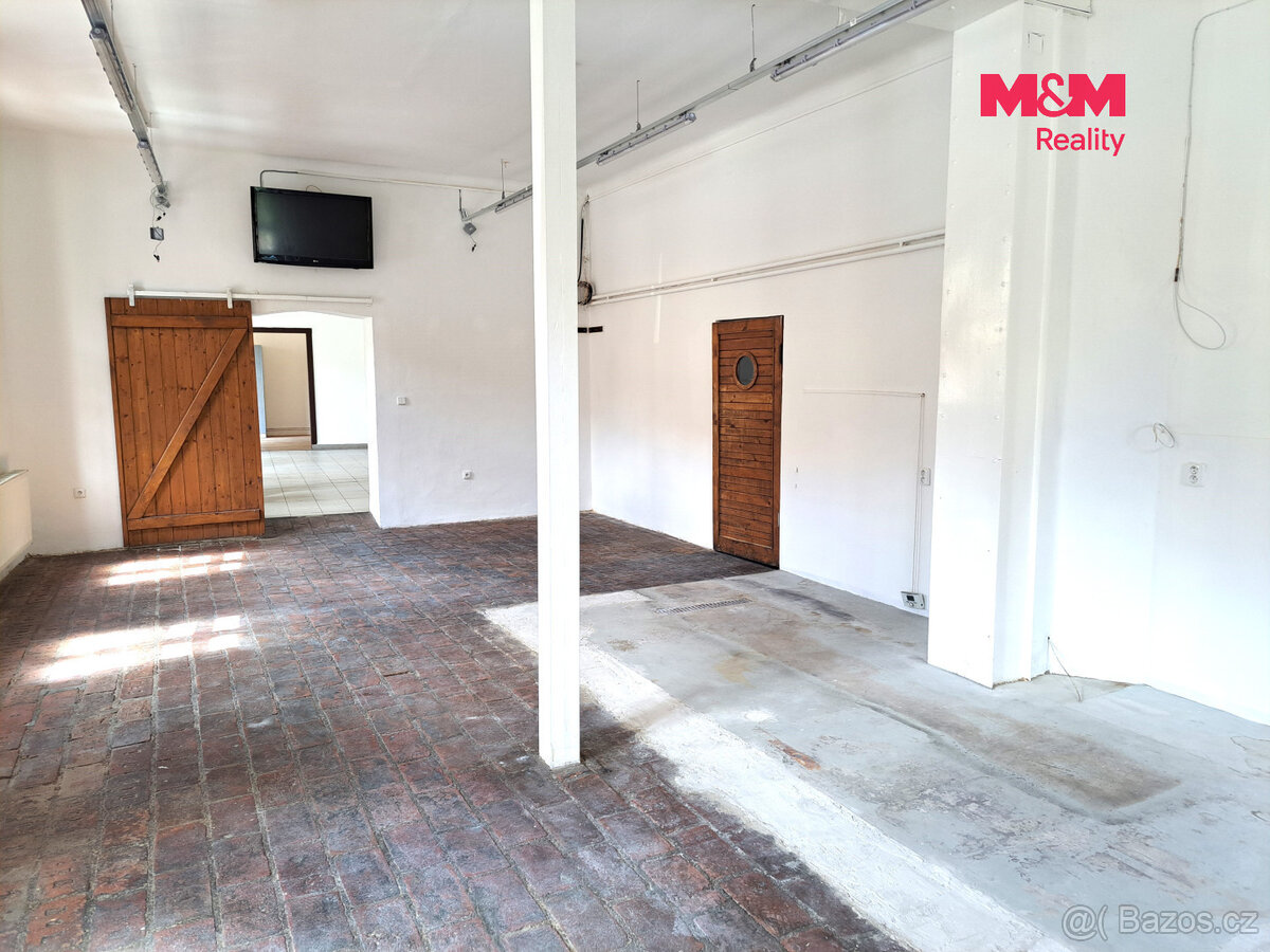 Pronájem obchodního prostoru, 221m2, ul. Riegrova, Brno - 4