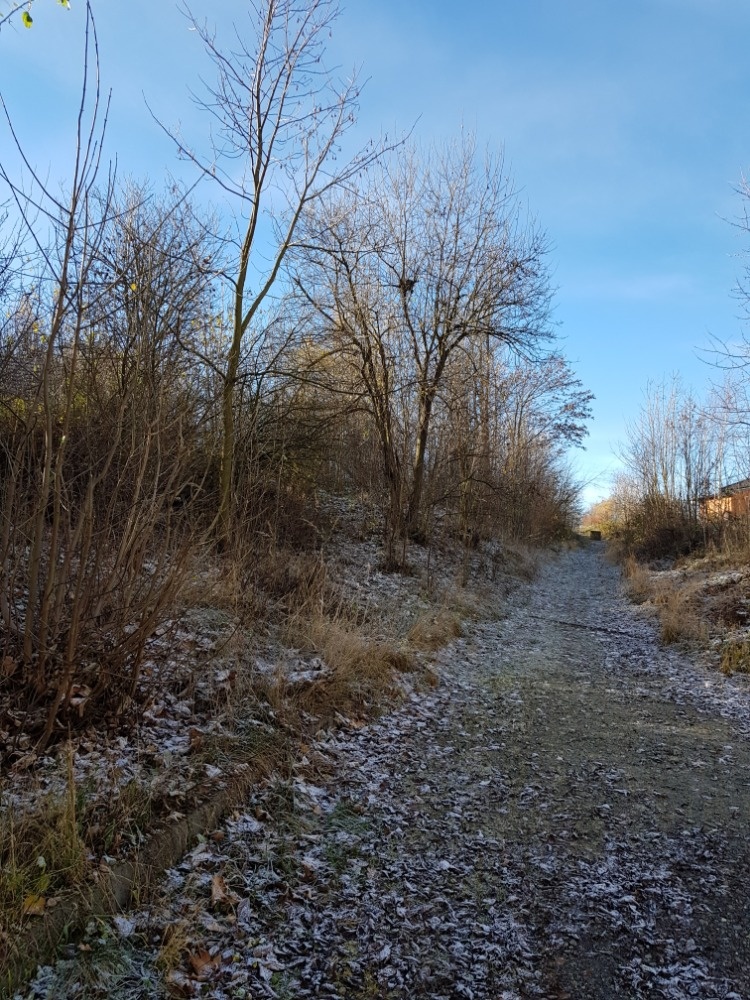 Orná půda - Brodek u Konice - 4