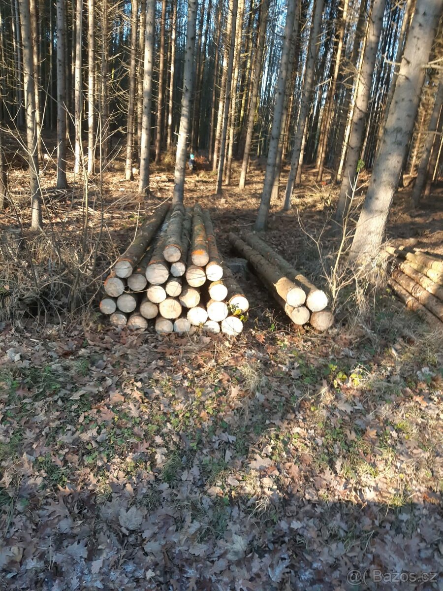 Prodám palivové dřevo - 4