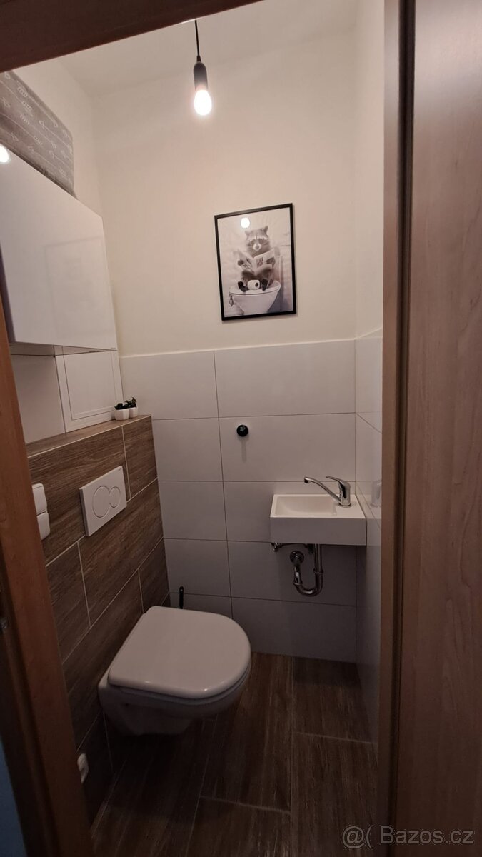 Prodej bytů 3+1 v Bruntále - 4