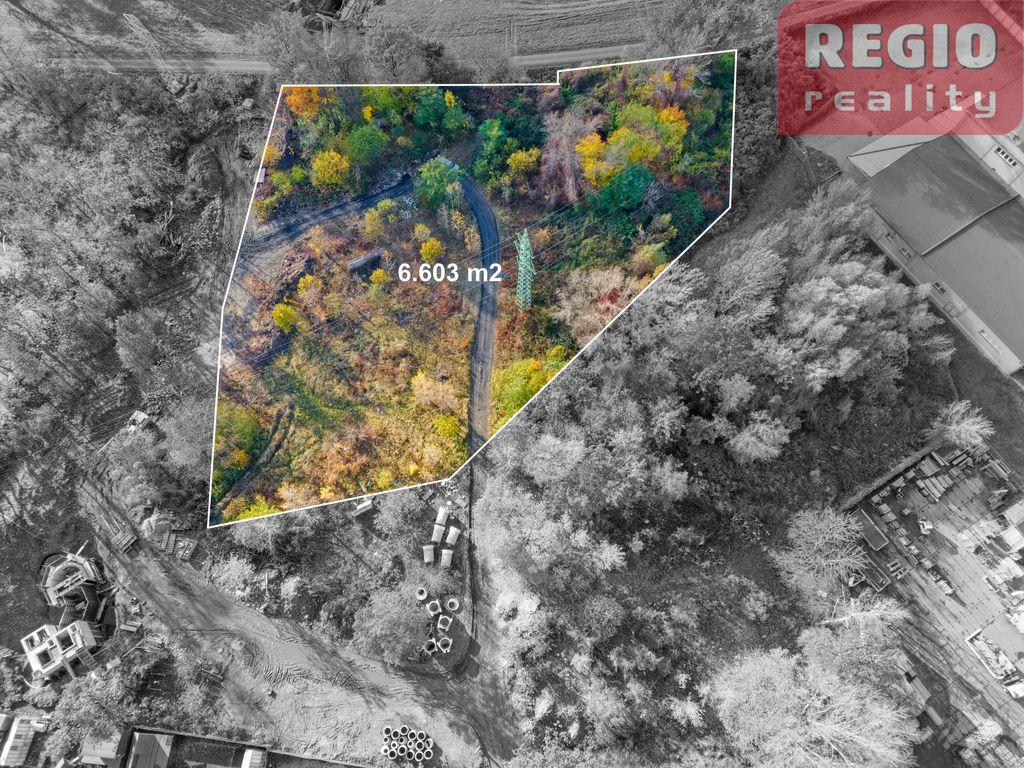 Prodej pozemku 6603 m2, Hrušov - 4
