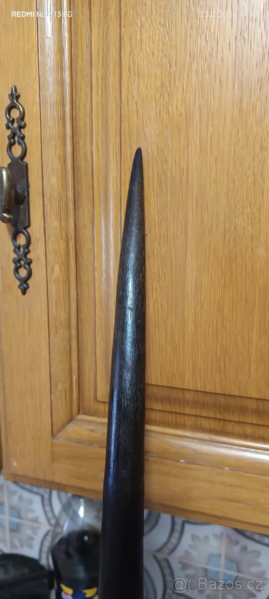 Trofej antilopa Oryx - 4