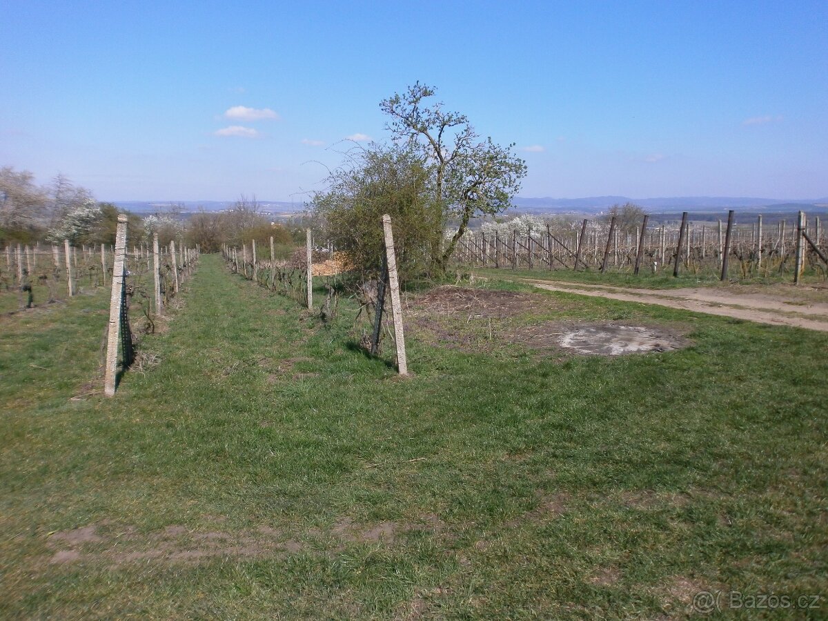 Prodej orné půdy, vinohradu - 4