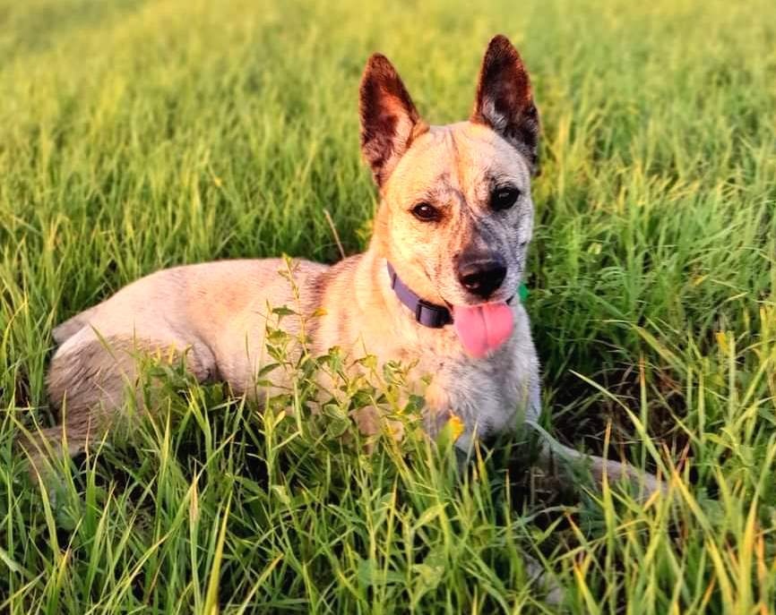 Evelyn hledá domov - 4