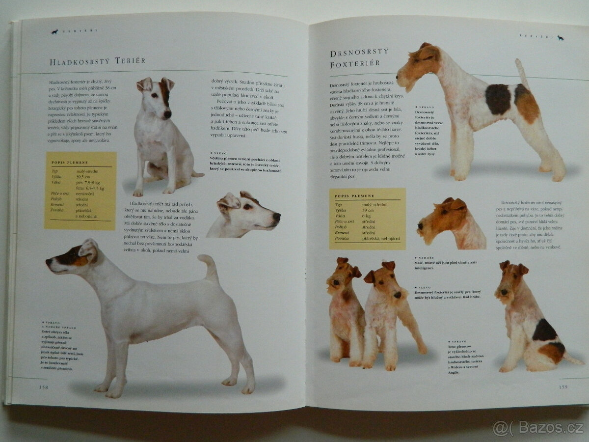 Pes a péče o něj - 4