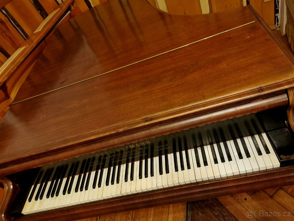 Klavírní křídlo. - 4