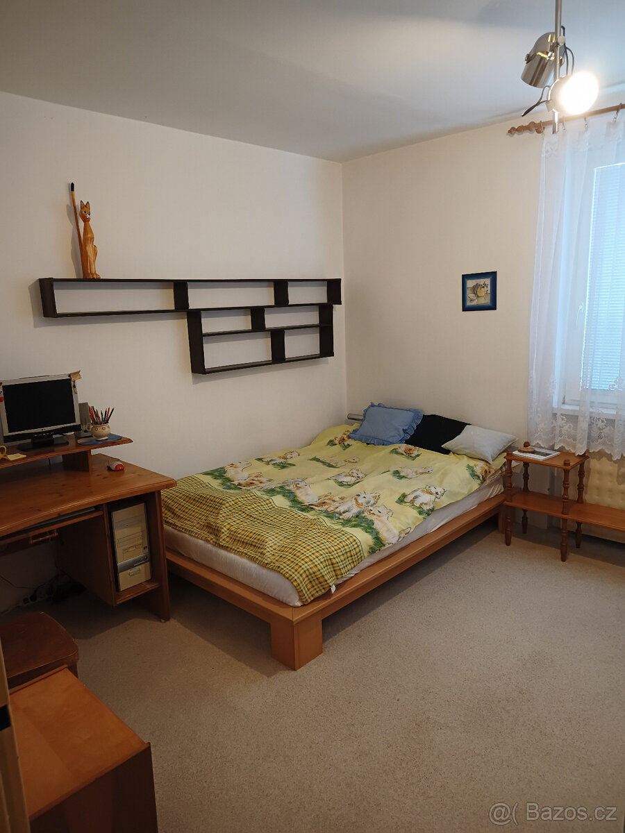 prodám byt Týn nad Vltavou - 4