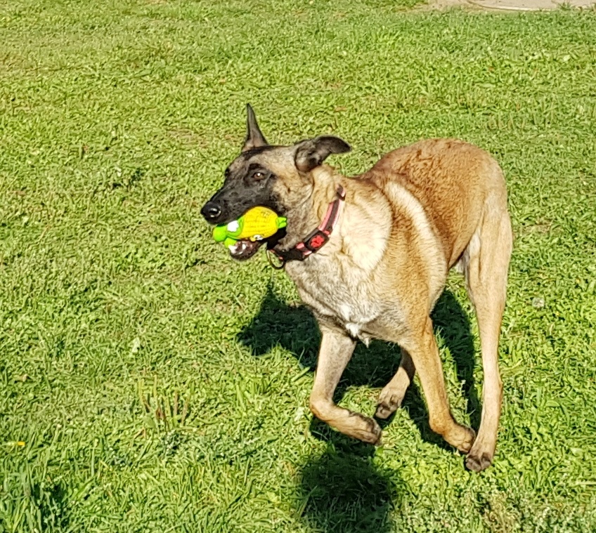 ANGEL K ADOPCI - HLEDÁ SVÉHO ANDĚLA - 4