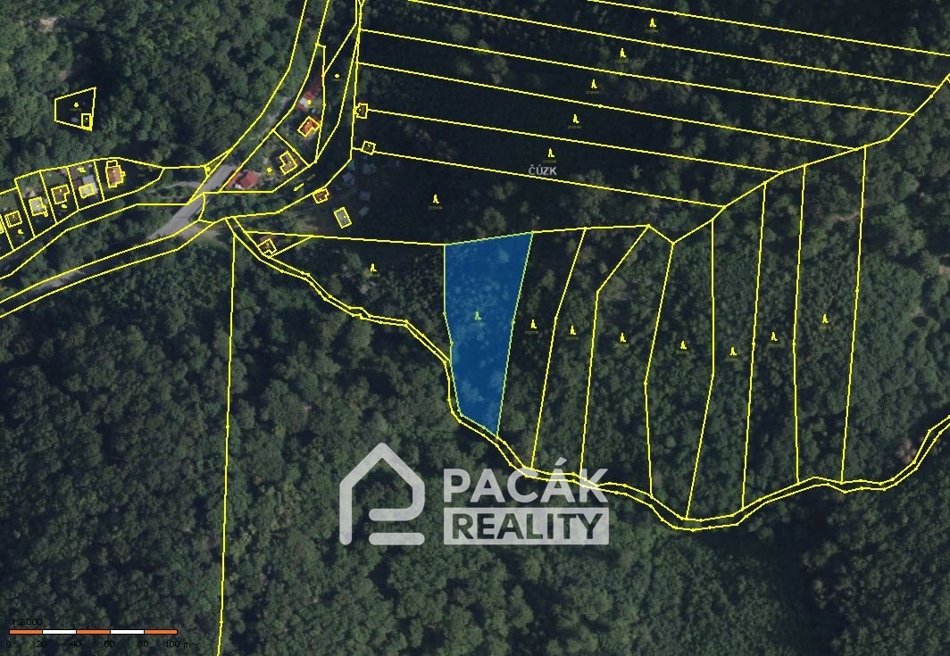 Prodej lesa v Dolanech u Olomouce, výměra 41.845m2 - 4
