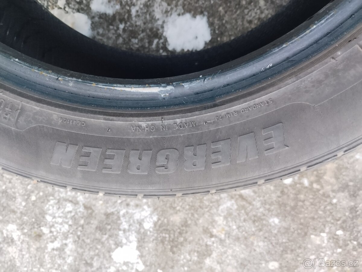 215/55 R 17 Evergreen - 4
