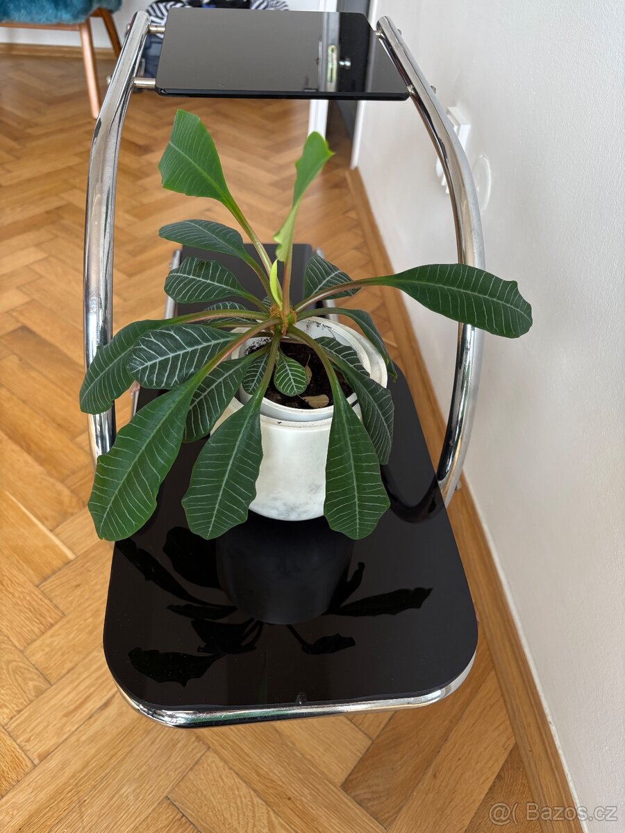 Kvetinovy stolek chrom, funkcionalismus - 4