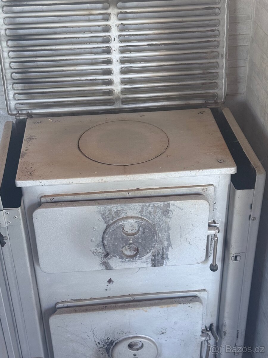 Kamna Thorma Filex - 4