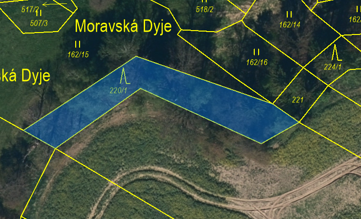 Prodej lesu 30 Kč/ m², Urbanov okr. Jihlava - 4