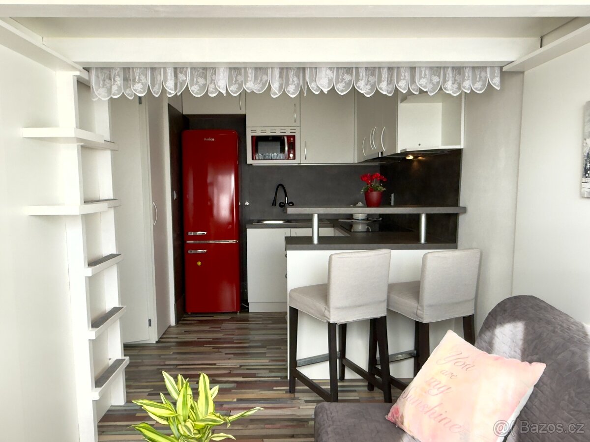 Prodej bytu o celkové ploše 30m2 v Hrušovanech u Brna - 4