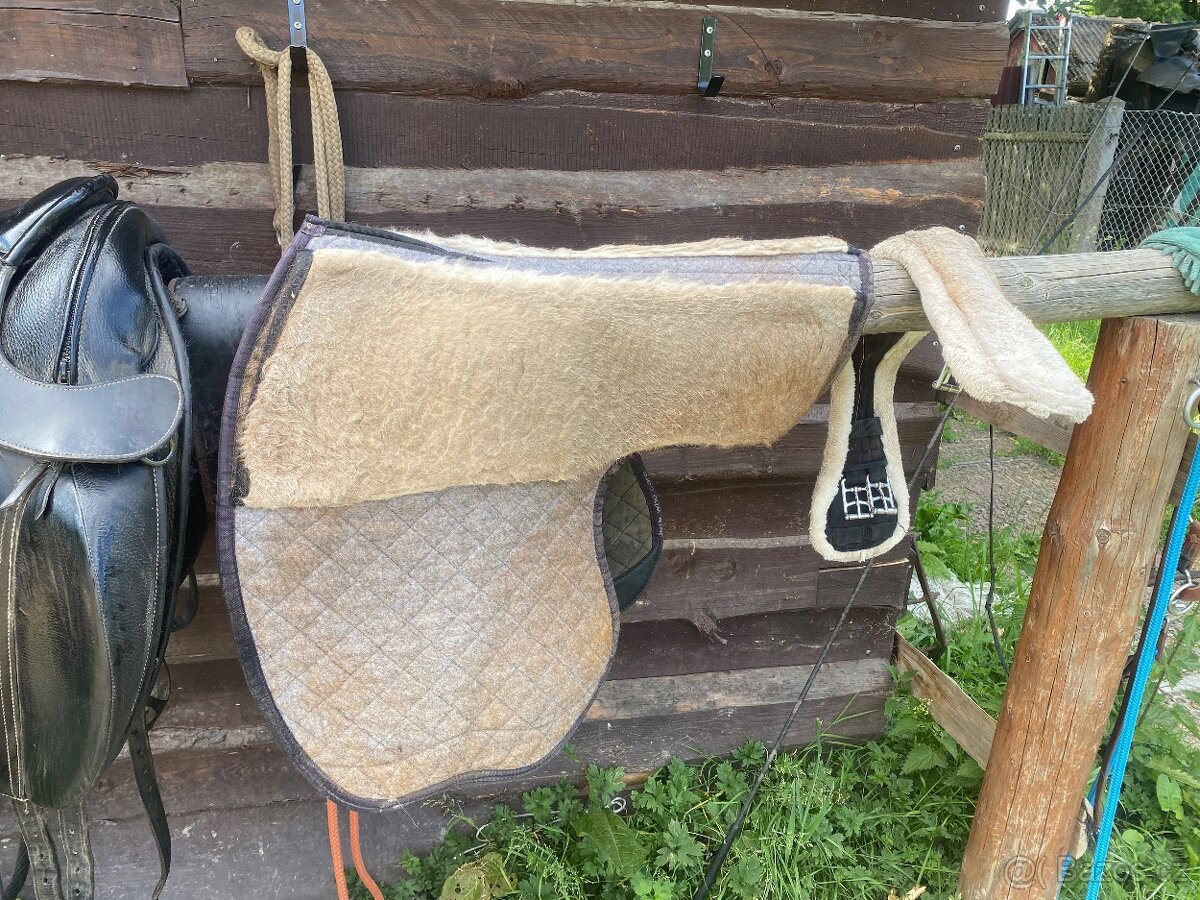 Prodám podbrisnik drezurni a posedlovou decku - 4