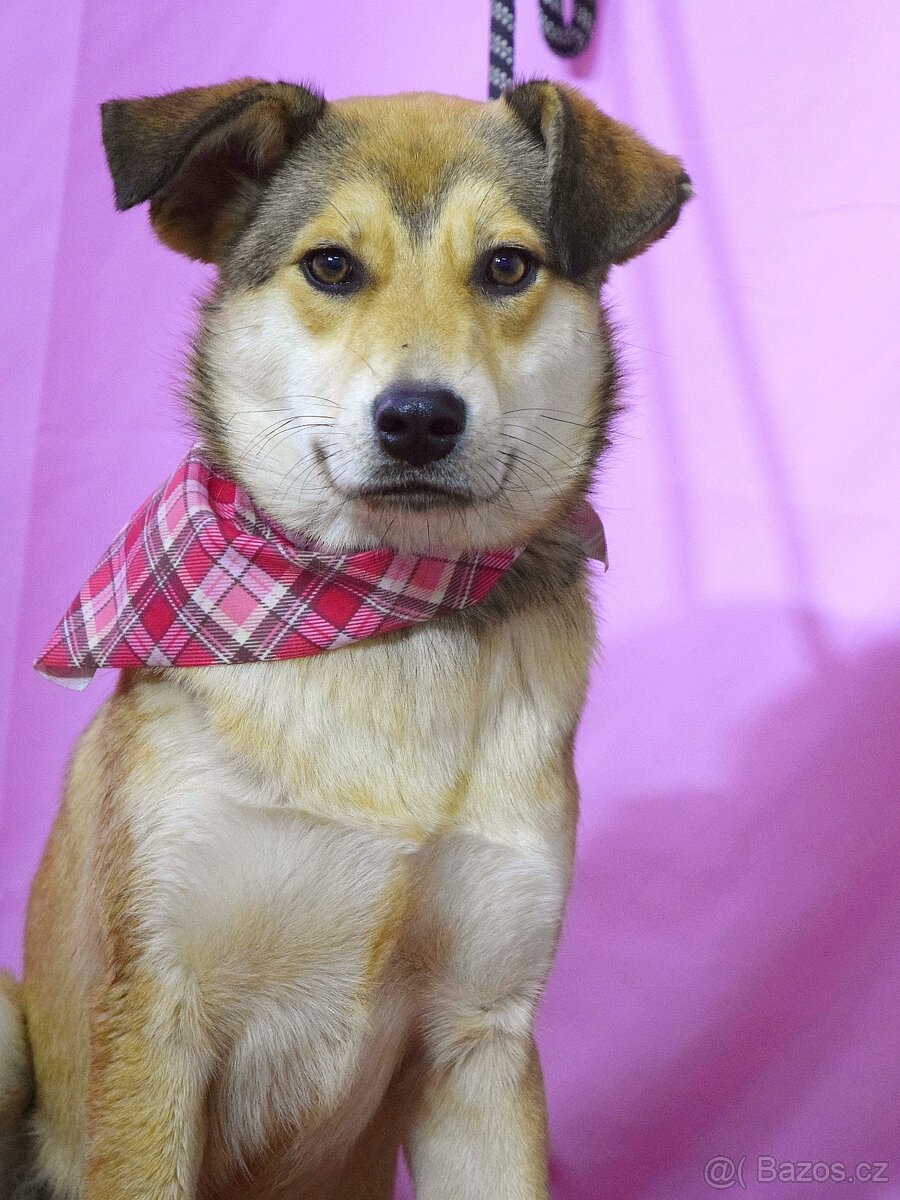 usmievavá Lenka - 4