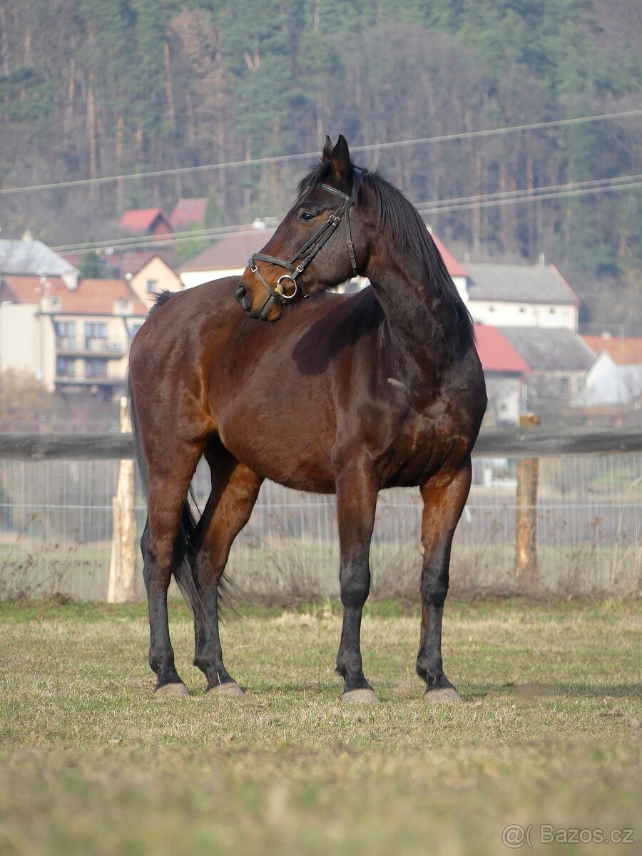 Parťák pro jednoho jezdce - 4