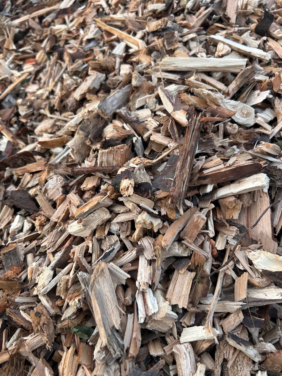 Drevni stepka - mulcovaci kura - 4