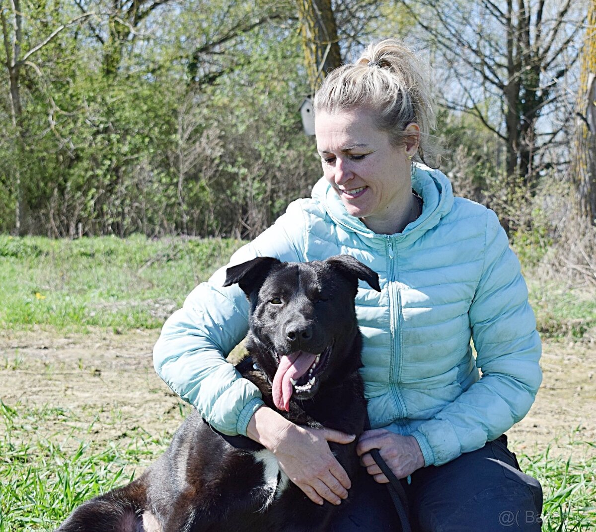 ALLEGRA K ADOPCI-3 ROKY, MILÁ,VDĚČNÁ,ODDANÁ - 4