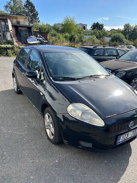 Fiat Grande Punto 1.3JTD - 4