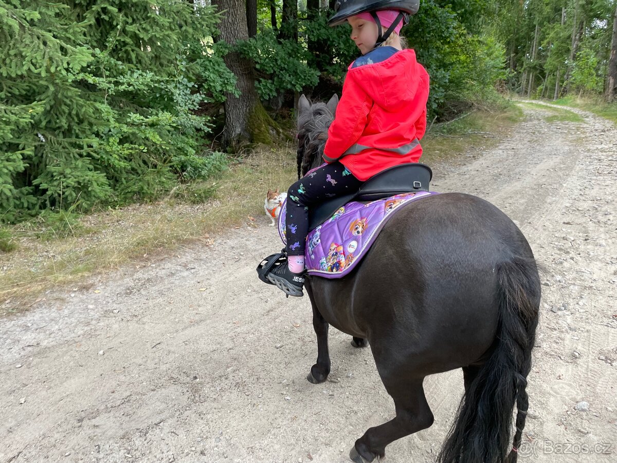 Docházku k mini-pony klisně - 4