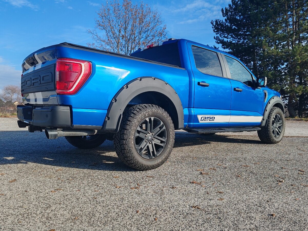 Ford f150 5.0 V8