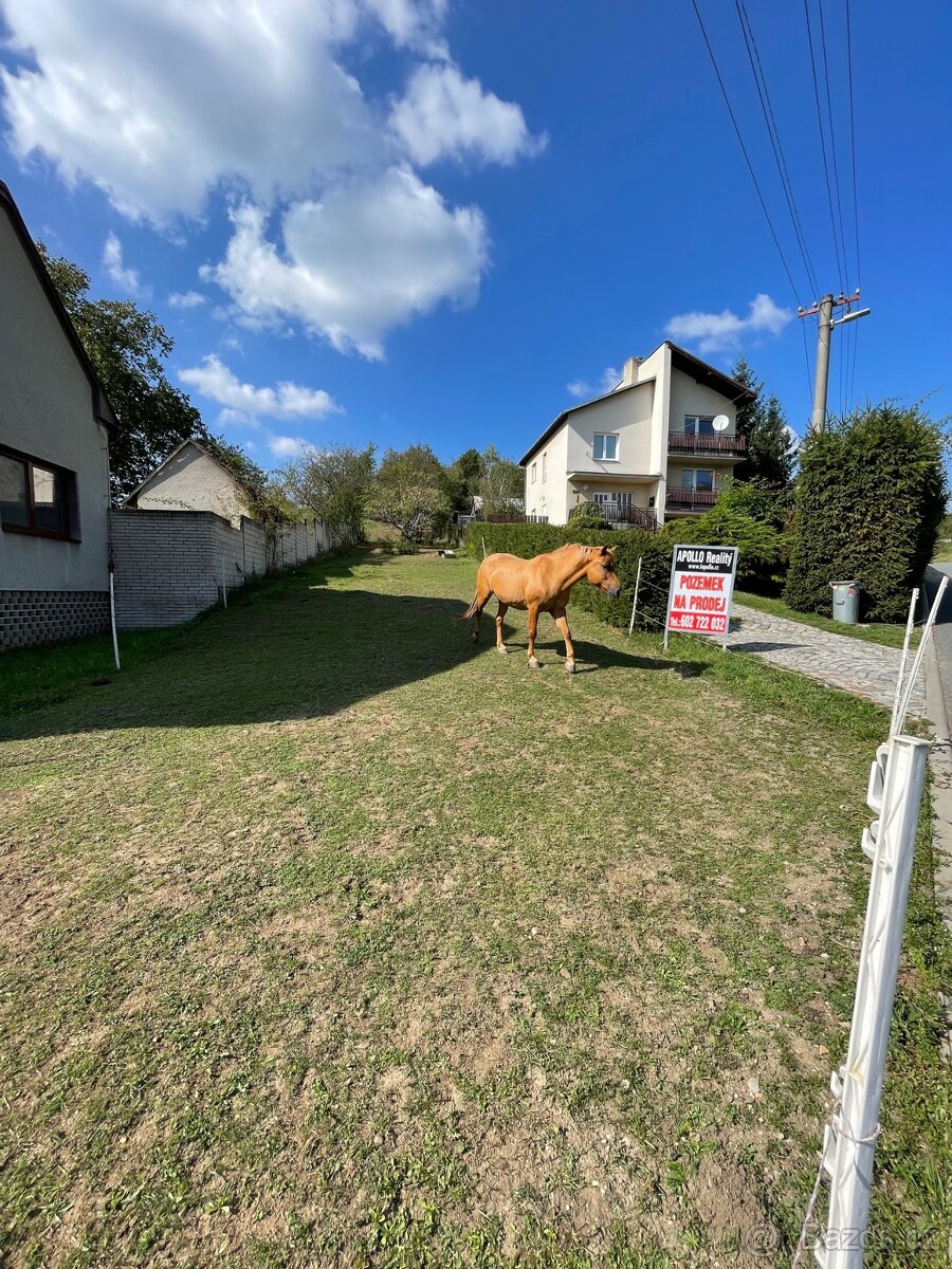 PRODEJ PZ PAŠOVICE - 4