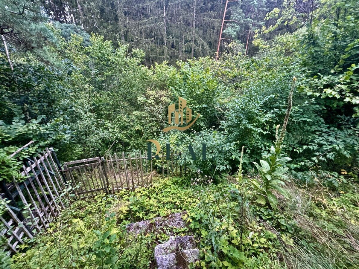 Prodej, chata, OV, 179 m2, Pláně - 4