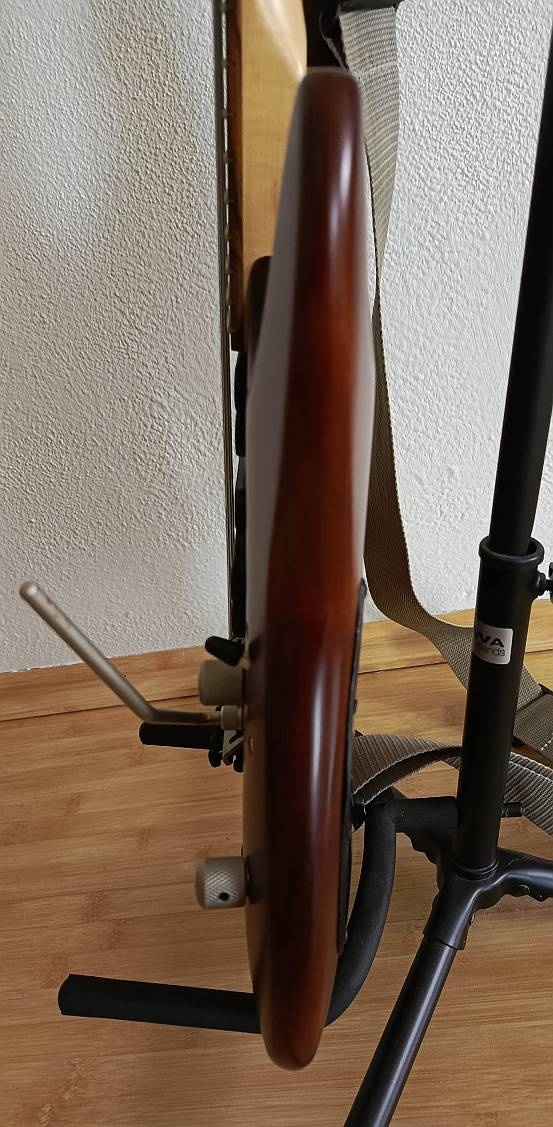 Cort VIVA - 4