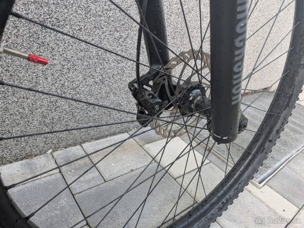 Rose Count solo 3 - 4