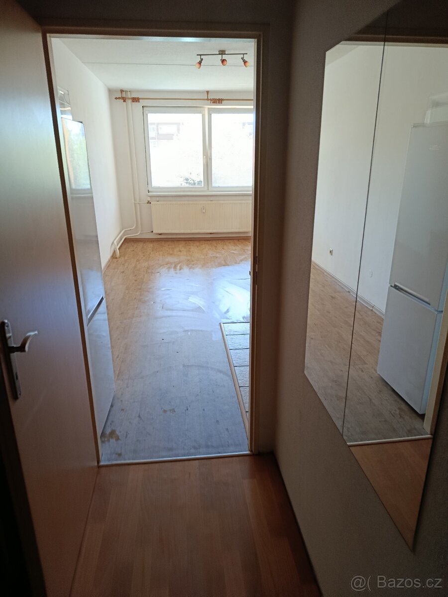 Pronájem bytu 1+KK - 4