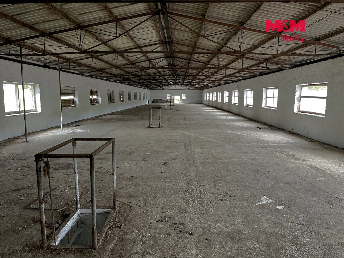 Prodej zemědělského objektu, 1320 m², Dešenice - 4
