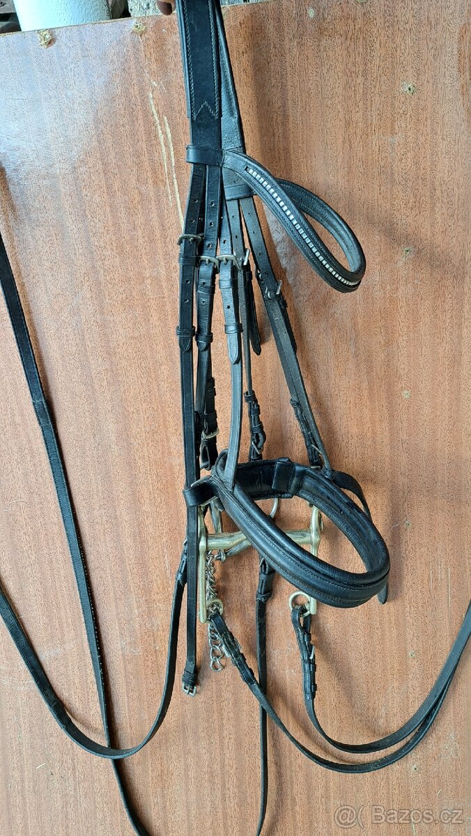 Drezurní uzda + páka a stihlo - 4