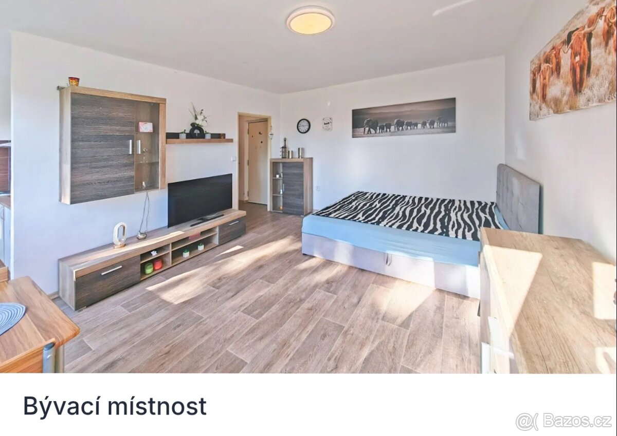 Prodám byt 1kk v osobním vlastnictví - 4