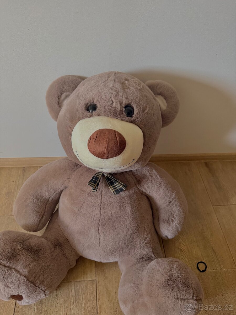 Prodám velkého medvěda🐻 - 4