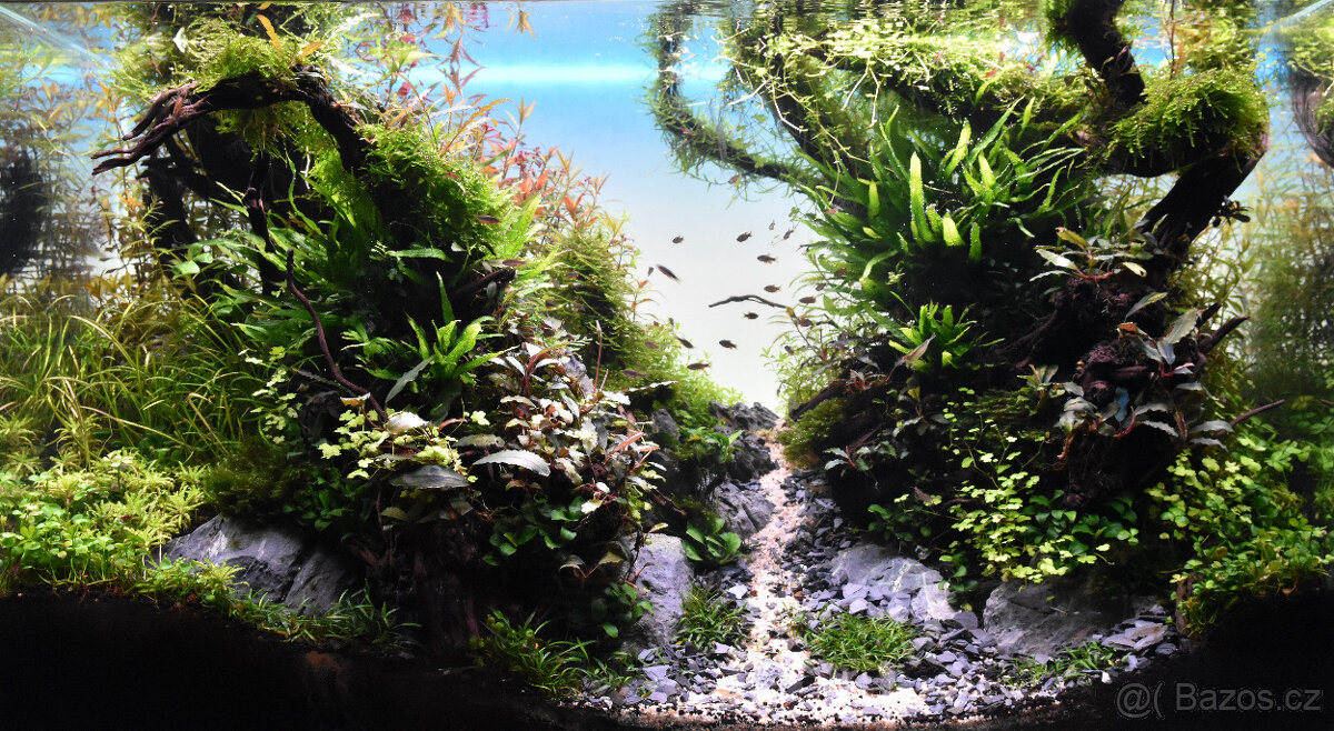 Realizace akvárií na míru – Přírodní, rostlinná i Malawi - 4