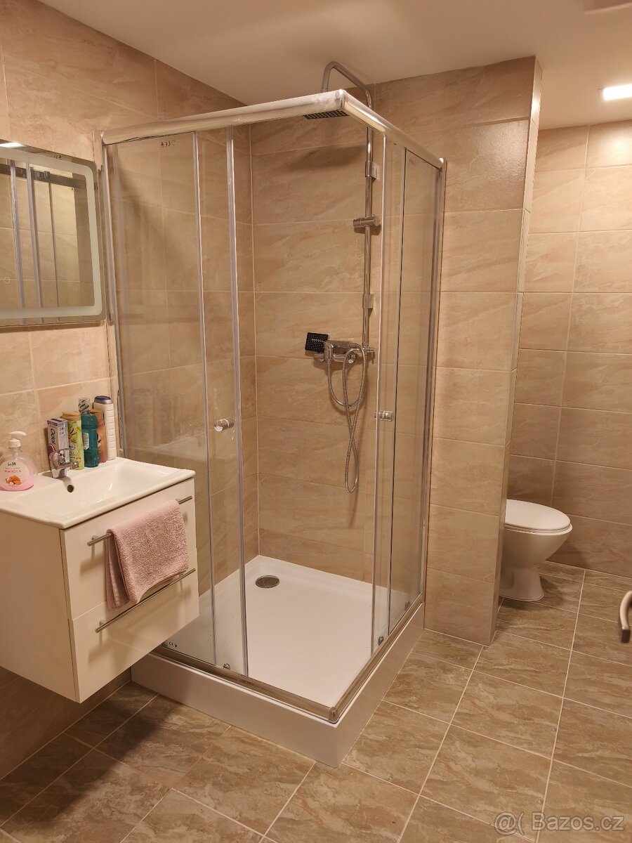 Pronájem bytu 1+1 - 4