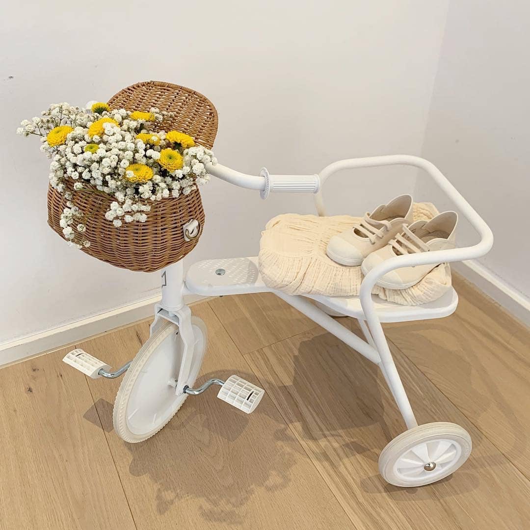 Foxrider dětská tříkolka bílá - 4