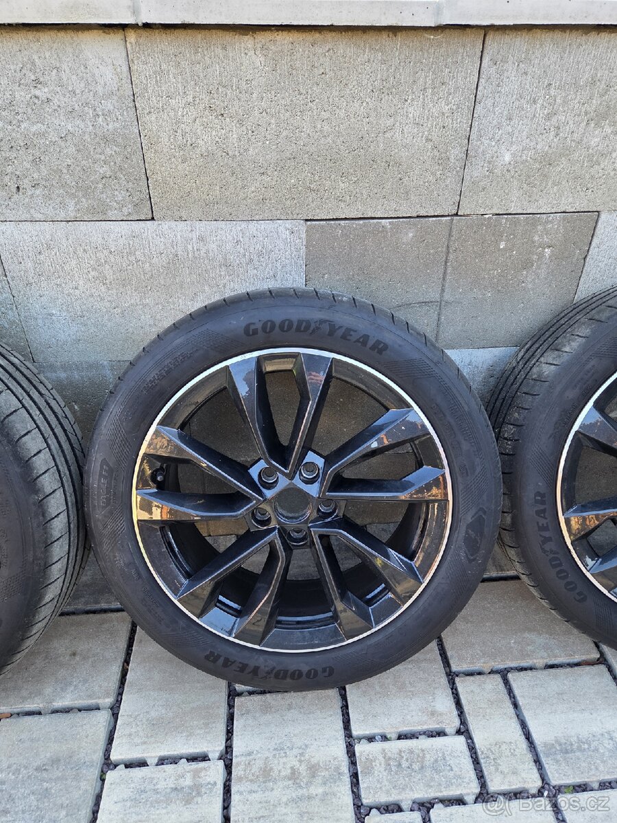 Procyon r18 - 4
