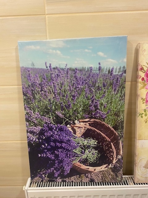 Obrázky na plátně - 4