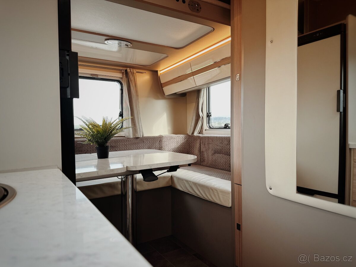 Ahorn Canada Tu- plus - 4