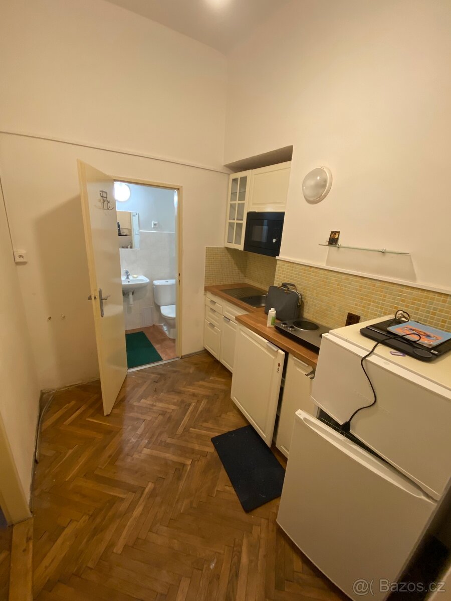 Pronájem garsonky-Vinohrady - 4