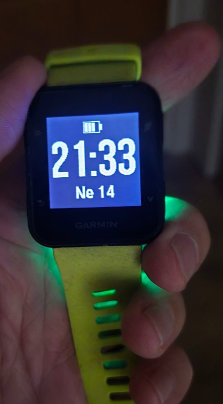 Garmin Forerunner 35 - 4