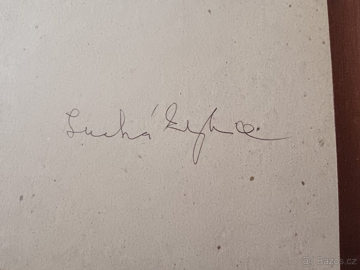 Z. Burgetová – barevná litografie "Suchá Kytka" - 4