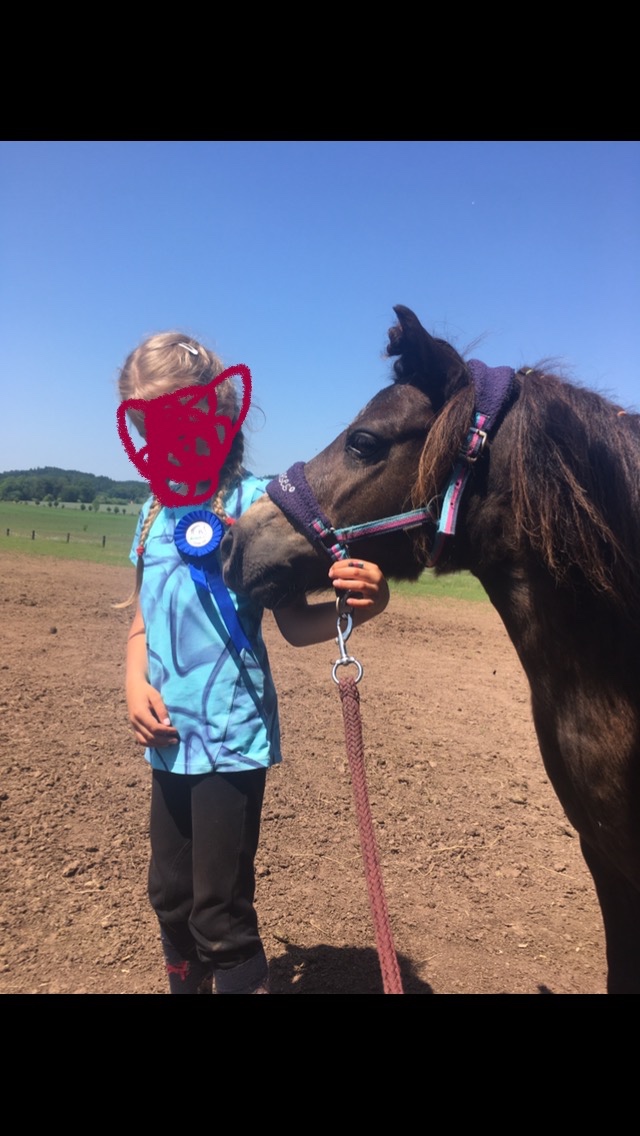 Jedinečný poník - 4