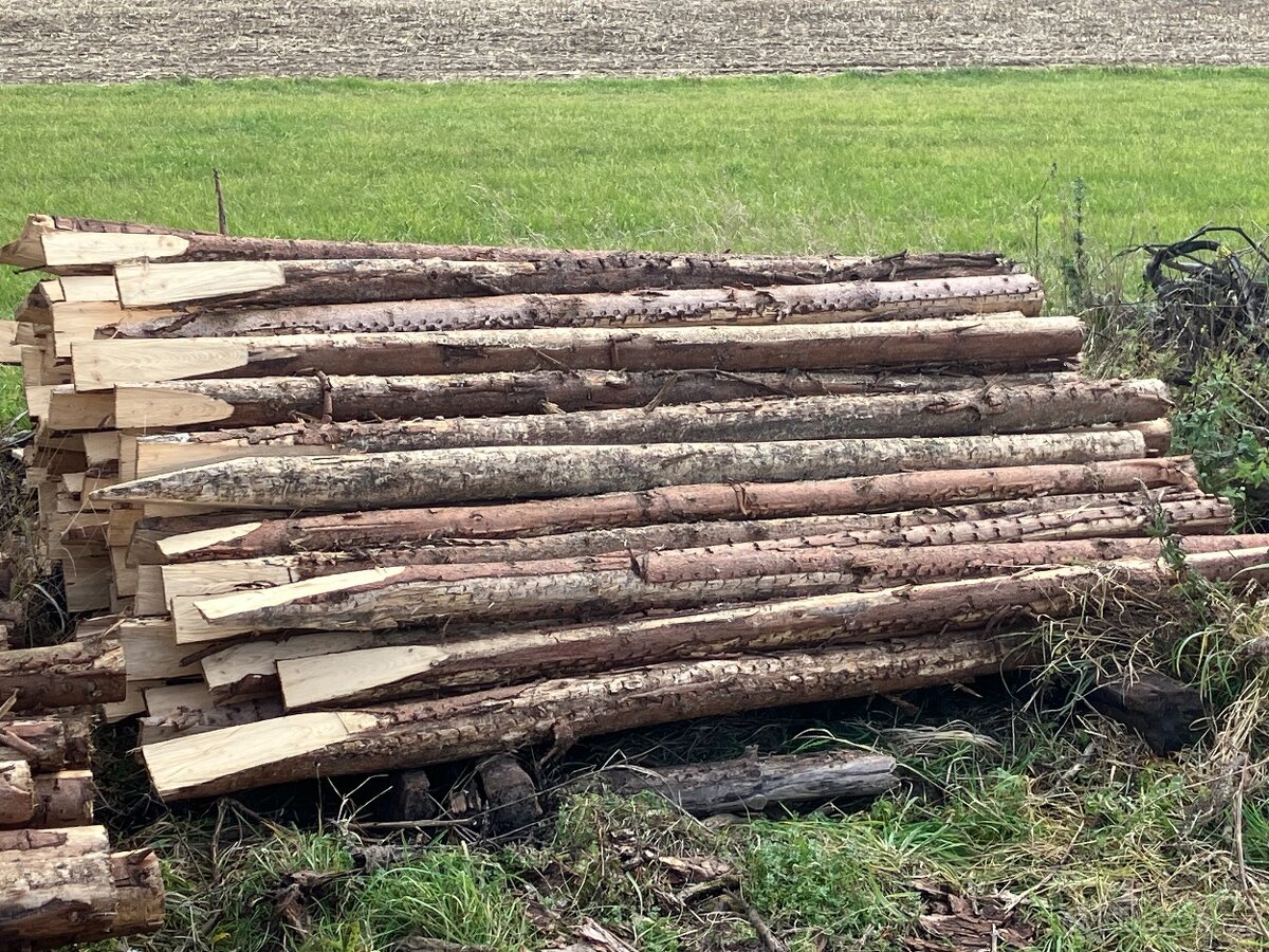 Prodám dřevěné kůly - 4